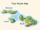  Maui Tours